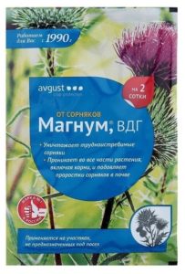 Avgust Magnum, VDG